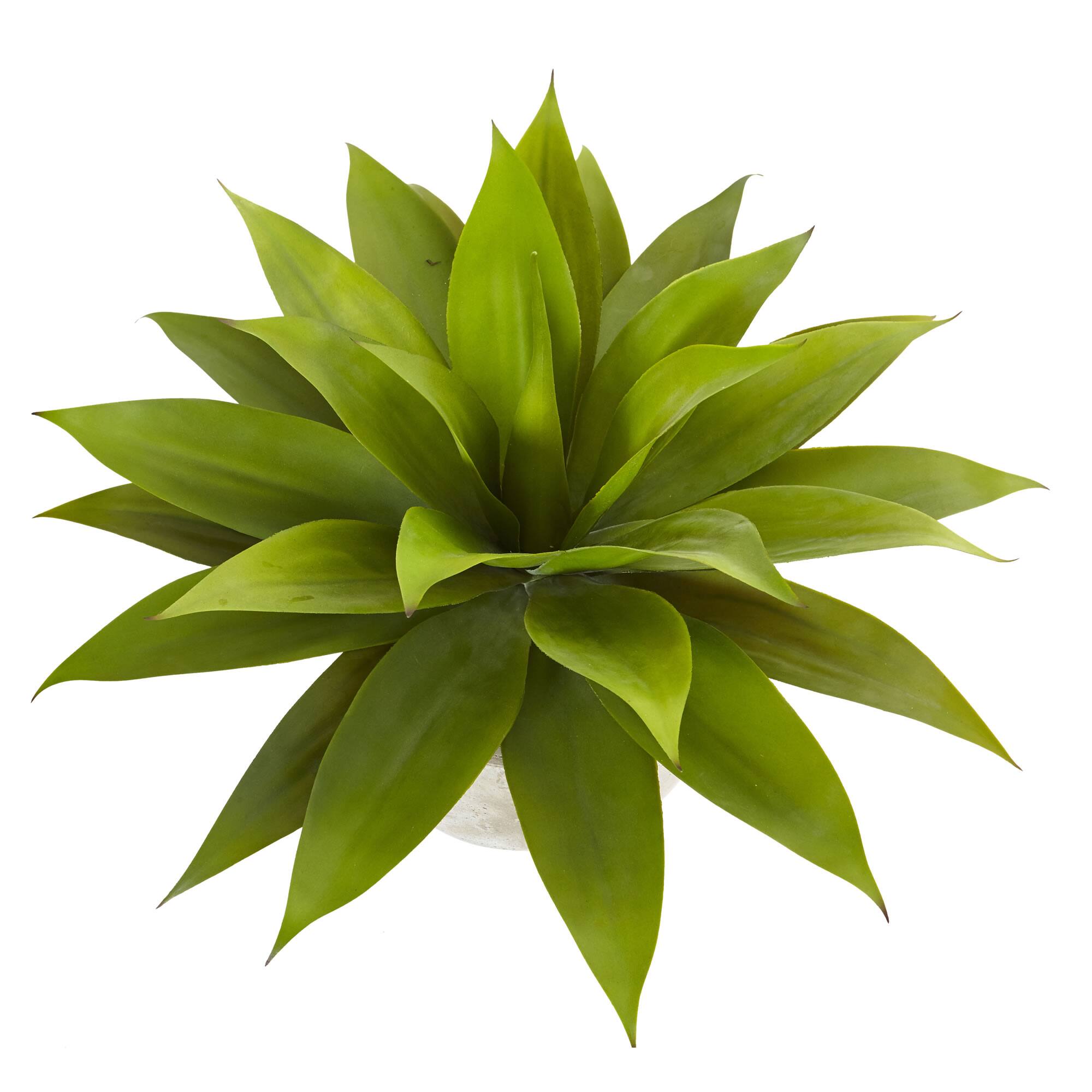 24" Agave Plant in Sand Planter
